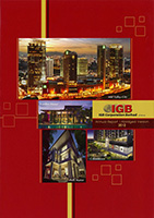 Annual Report 2012