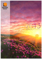 Annual Report 2013